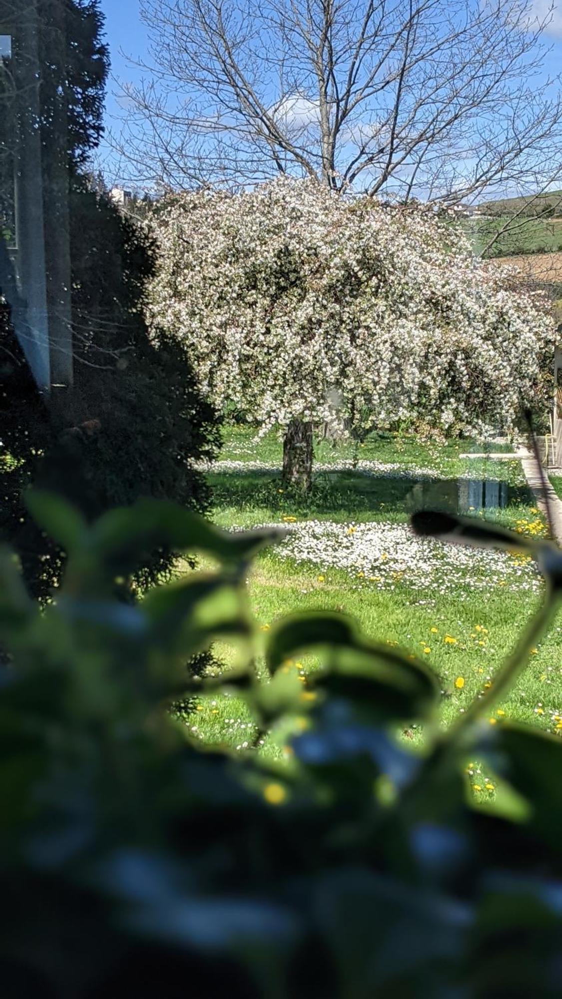 Le Clos Du Perret Chaussan Kültér fotó